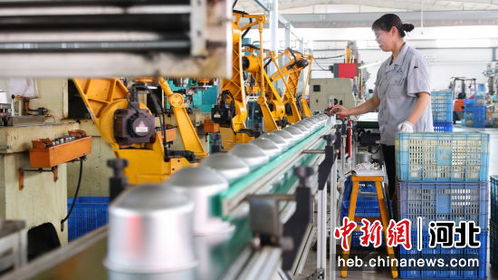 河北南皮創新驅動 小五金 勇闖國際 大市場